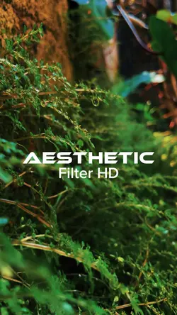 Aesthetic filter HD