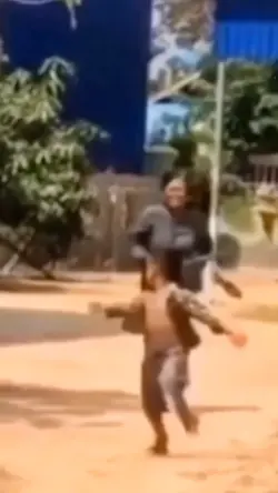 habol palo