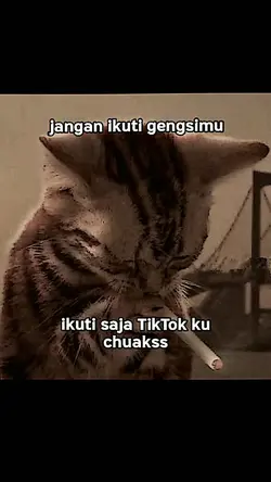 versi tiktok