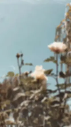flower edit