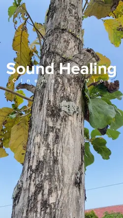 Vlog Healing