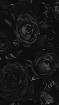 T_Y 𖣁