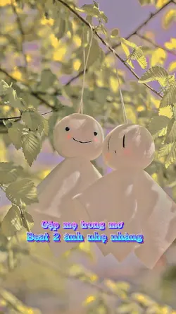 Gặp mẹ trong mơ 