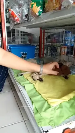 tidur lah .....