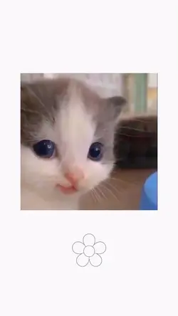 มาลองใช้กันนะ>v<