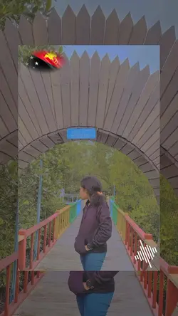 PNG music 