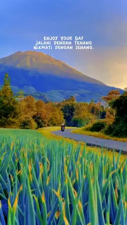 Quotestory 
