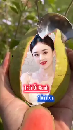 Trái Ổi Xanh