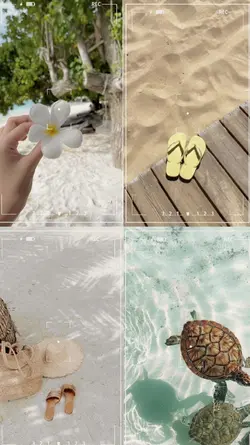 4photo 1video