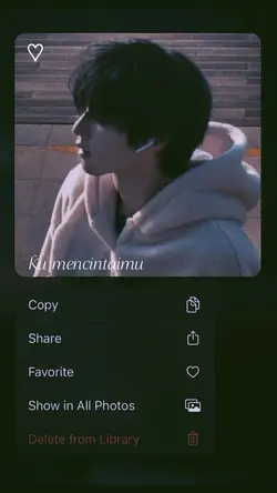 ku mencintaimu 