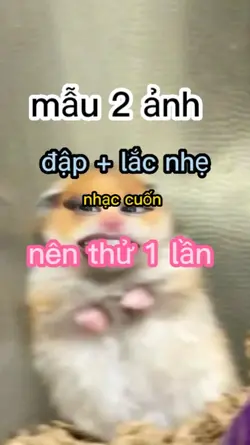 mẫu 2 ảnh Xịn