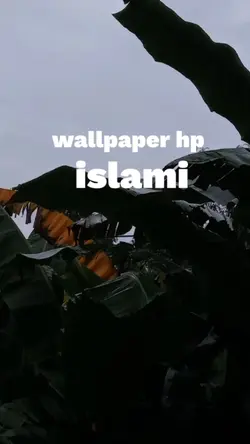 assalamualaikum 