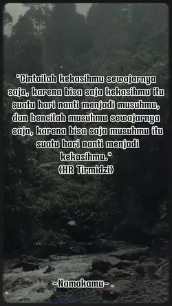 Story wa