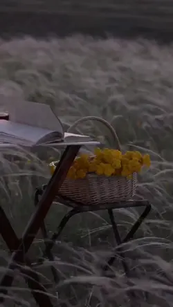 slowmo smooht