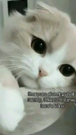 Friends,Family