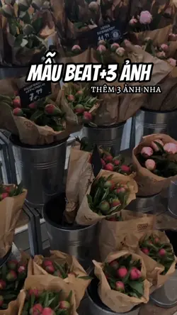 Mẫu Beat+3 Ảnh