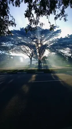 suasana pagi