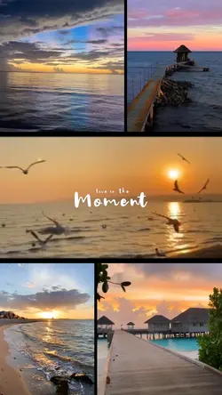 Mini Vlog Grid 0112