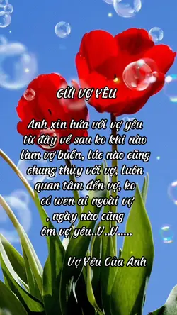Gửi Vợ Yêu 