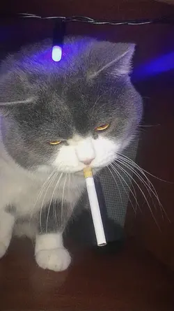 .