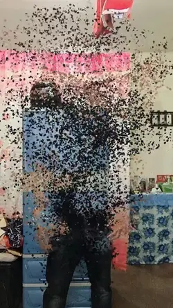 Particles