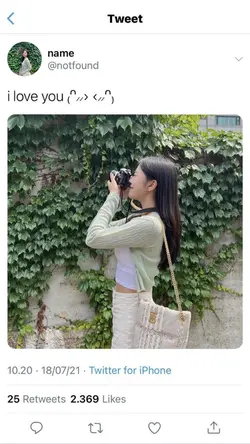 Frame Twitter 2 pic