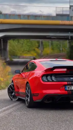 Car Sport