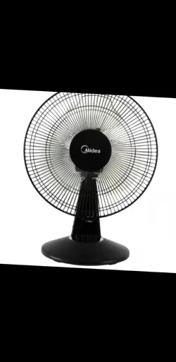 fan illama