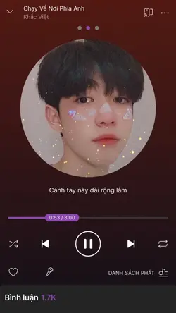 Mẫu Zing MP3 