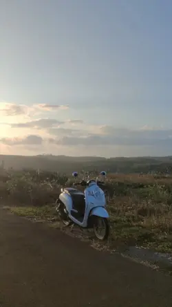 SUARA TOK DALANG