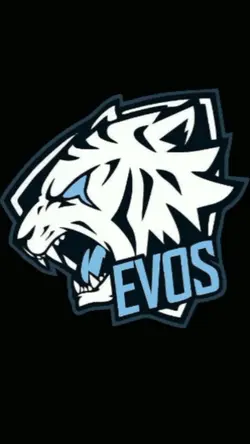 Evos E-sport
