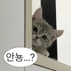 ㅈ,젭알 떡상..! / だきしめるま
