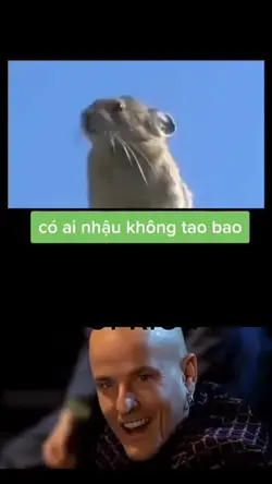 mauhaihuoc