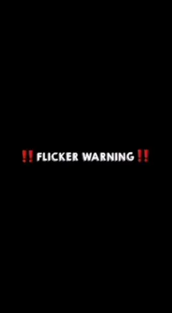 flicker poto vidio
