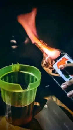 lami ang ginadili