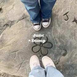 June dump 1:1