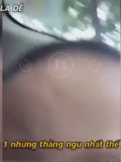 Top 1 ngu nhất tg