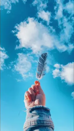 Beat 9 Foto