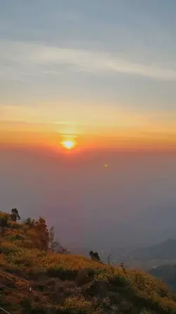 ธรรมชาติหมอก