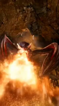 Fire Dragon