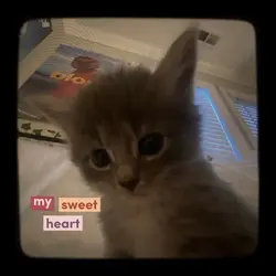 my sweet heart 