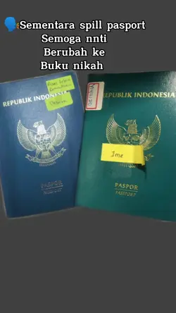 spill pasport 