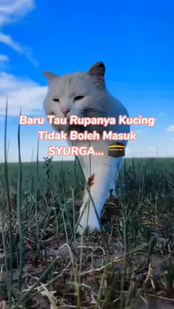 Quote pengingat diri