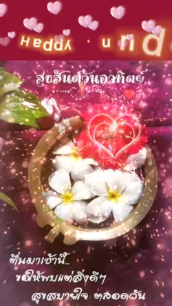Happy Sunday 