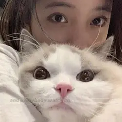 I'm looking at u
