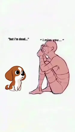 ilost my dog