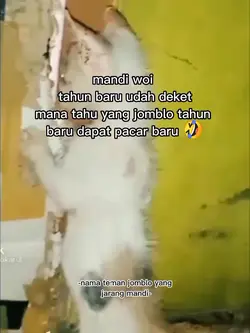 Untuk tahun baru nya