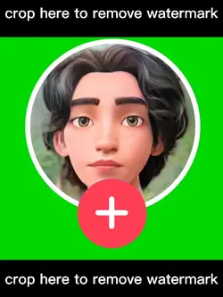 Tiktok Follow