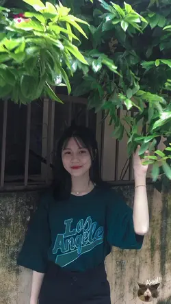 NHẠC + MÀU UP STORY
