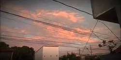 agoii
